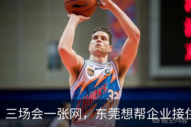 三场会一张网，东莞想帮企业接住什么