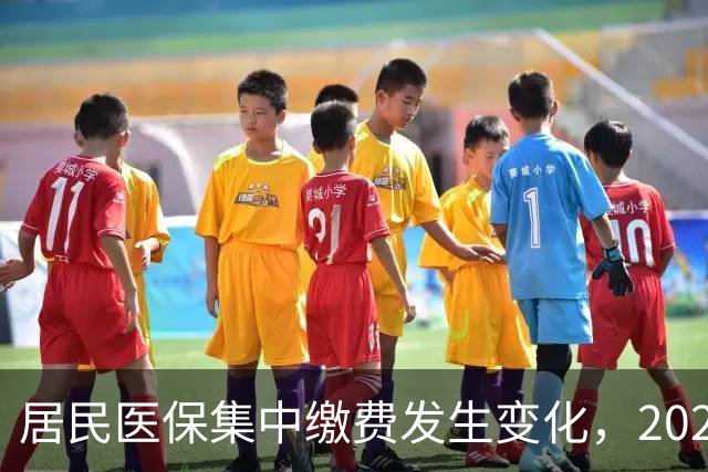 居民医保集中缴费发生变化，2027年城乡居民医保缴费标准是多少？