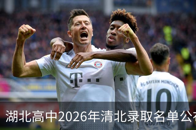 湖北高中2026年清北录取名单公布