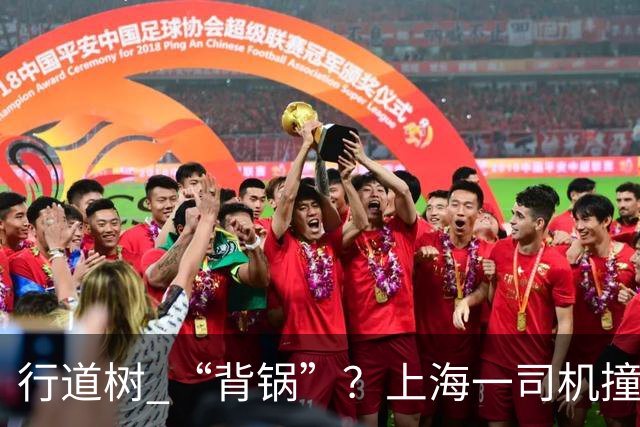行道树 “背锅”？上海一司机撞树后主张树木全责，结果来了