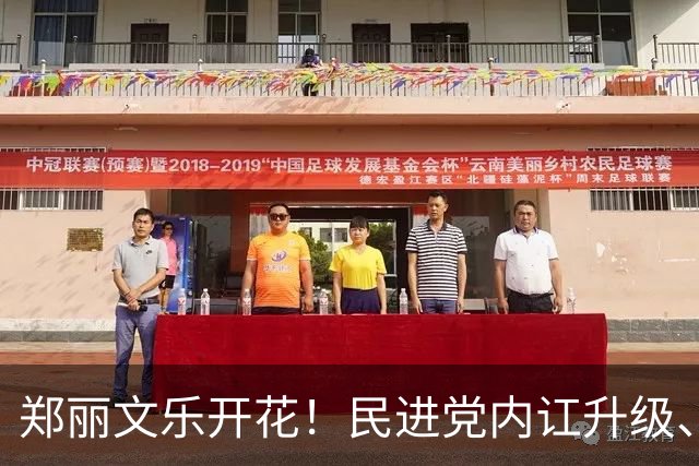 郑丽文乐开花！民进党内讧升级、24年老将反水？国民党2人很尴尬