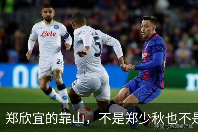 郑欣宜的靠山，不是郑少秋也不是沈殿霞的遗产，而是事事兜底的她