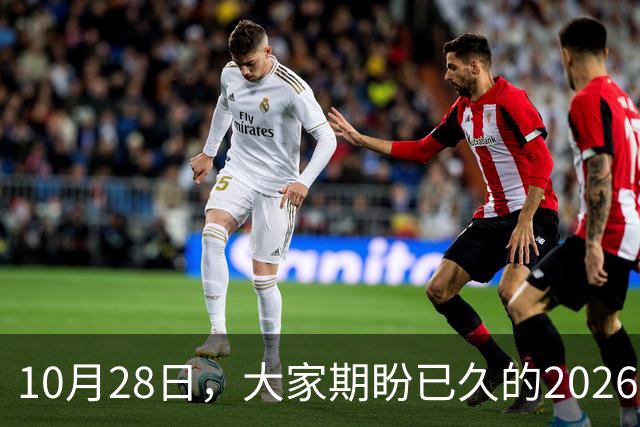 10月28日，大家期盼已久的2026退休养老金，究竟涨还是不涨？