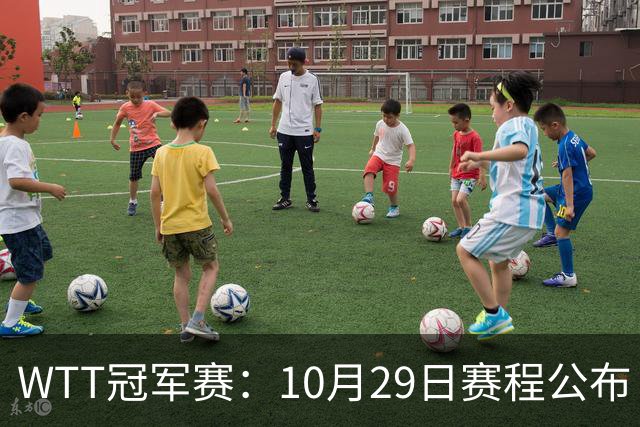 WTT冠军赛：10月29日赛程公布！国乒对决世界冠军，两大主力内战